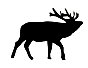 elk