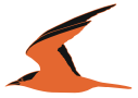 tern