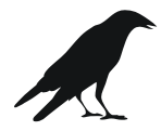 crow