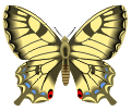 butterfly