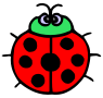 lady bug