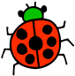 ladybug