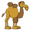 camel