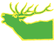 elk