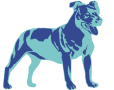 Staffordshire Terrier