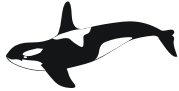 killer whale