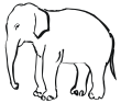 elephant