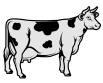 cow