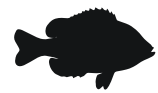 sunfish