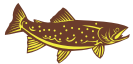 trout steelhead