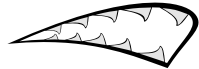 shark teeth