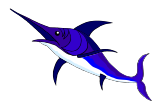 marlin