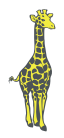 giraffe