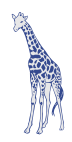 giraffe