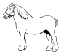 draft horse