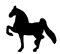 horse
