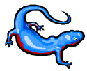 salamander