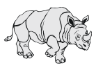 rhino