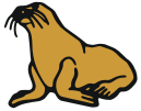 seal