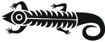 lizzard