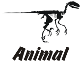 animal