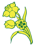 pansy daffodil rose