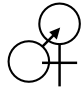 male and female symbols getting it on