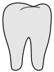 tooth