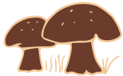 mushroom