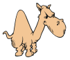 cartoon camel