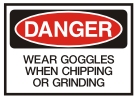 goggles
