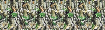 camouflage