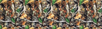 camouflage
